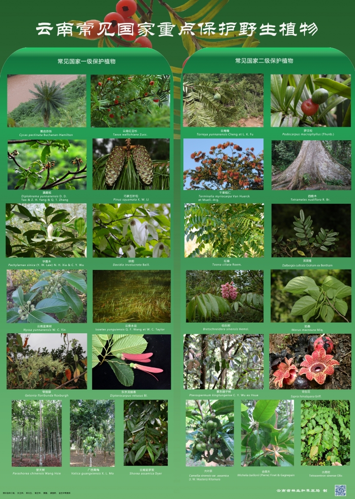 以案普法：危害国家重点；；；；；；；；ぶ参镒